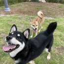 노와펜션 이미지