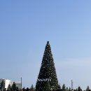 아난티 앳 부산 빌라쥬 : 캐빈 B 오션 빌리지 뷰 후기, 에이 스피릿 오브 저니 실내 수영장