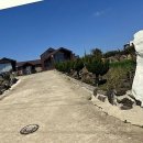 (킬링힐링)미묘한 견주생활 | 사랑하는 댕댕이와 떠나는 완벽한 힐링 여행, 독채 펜션 선택 A to Z!