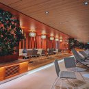 아시아연예이벤트 | 라운지 열풍 폭발! 네이버 신상부터 스카이라운지 럭셔리까지 🔥 2024 필수 가이드