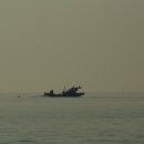 나로도바다 이미지