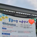 고산동 17-4 이미지