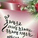 식구이야기