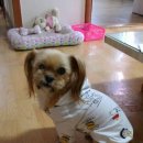 신흥미싱 이미지