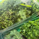 머슴고기 - 화성시 역골동로 5-16 | 화성시청 맛집 추천, 머슴고기 화성시청점 머슴모둠, 물냉면 후기 남양 삼겹살 맛집