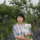 민수 농장 이미지