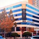 유성메디칼의원 네이버블로그