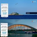 씨크루즈 이미지