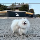 호텔어라이브 태안 탼 한옥비치리조트2 이미지