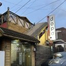 영천스타식당 | 영천 시청 술집 도파 갈릭새우 고추크림 이자카야 안주 맛집