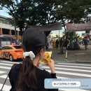 중앙탑면막국수 이미지