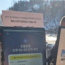 THE:쉼하우스 | [일상 기록] 출산 전 호캉스 02. 워커힐 더글라스 하우스 (feat. 숲속 힐링 태교)