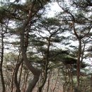 공주-22 이미지