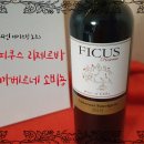 홈플러스 익스프레스 광화문점