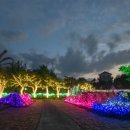 제주허브동산 이미지