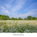 악양생태공원 이미지