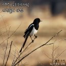 명천경로당 이미지