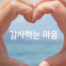 감사