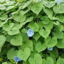 대덕구남부건강생활지원센터 이미지