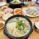 왕가 | 영등포구청역 무릎 도가니탕과 김치가 맛있는 왕가설농탕 내돈내산 후기