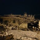 성골 농원 이미지