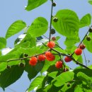 세종문화사 - 보은군 | 세종문화사