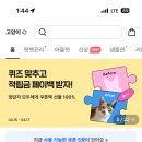 [쫑쫑] 핏펫 20% 할인 + 20% 페이백 (~4/17) 이미지