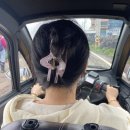 제주도 우도 배시간 우도 전기차 파미 종일 대여 내돈내산 코코나라 솔직후기