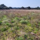 일주동로 이미지