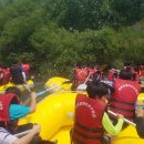 웅양초등학교 이미지