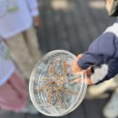 💛밝은 에너지 글로벌2반💛 ＜밤톨이 숲 체험원- 숲속의 스파이더맨🕷️ 이미지