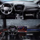 엔터 모터스 | 인생 첫 수입차 BMW 520i M