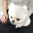 여름귤집 | 아무것도 안 해도 괜찮을 때