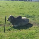 익수농장 이미지