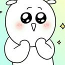 서면속눈썹