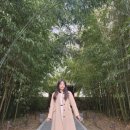 현대대구점KL | [리뷰] 2024년 바이린샵 패밀리세일 정보 가격 링크 추천코드 내돈내산 후기