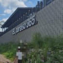 ELparaiso365(엘파라이소365) 이미지