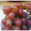 세진농장 이미지