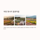 캠핑/글램핑 이미지