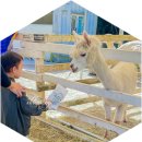 지성목장 이미지