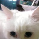 은서농장 이미지