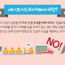 세이프가드