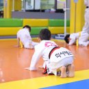 학사 태권도 이미지