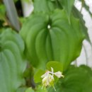 선암가든 이미지