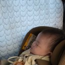 동헌로 | [생후 6개월] 수원 스타필드, 아기랑 맛집 투어, 루솔 간부식 이벤트 당첨 후기