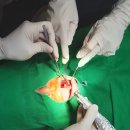광교삼성화이트치과의원 | [광교치과] 과잉진료없이 책임감 있는 진료를 하는 광교삼성화이트치과의원