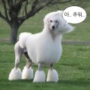 싱글멍글 | 백예린 2025 단독 콘서트 ‘Flash and Core’ 후기 🫶행복 가득한 밤!