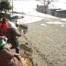 현지네 농원 이미지