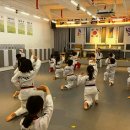 경희대동성태권도 이미지