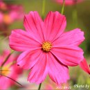 가향펜션 이미지